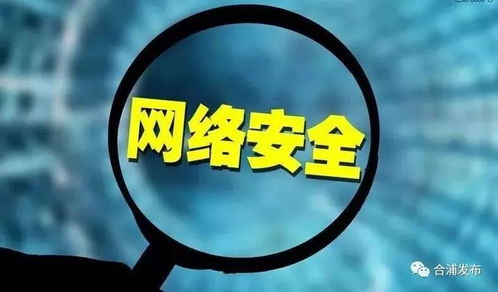 網(wǎng)絡(luò)與信息安全軟件開發(fā)手冊 構(gòu)建數(shù)字世界的堅(jiān)固防線